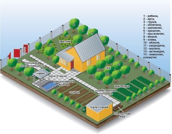 как правильно расположить дом на земельном участке